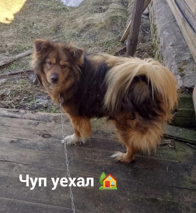 ELP70gLwPo7bwXoA-fDxZg9LxH4xf8rP6XhxGUkL