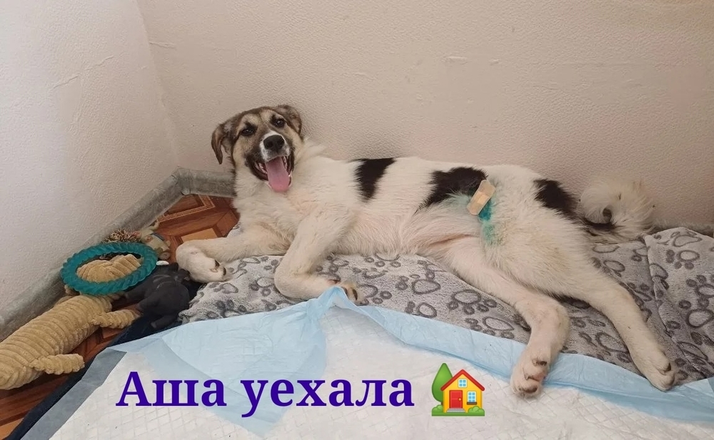 hNpWv_Az6wUc4R8XMihSRtuHc9pi1LuSgz8JLTtg