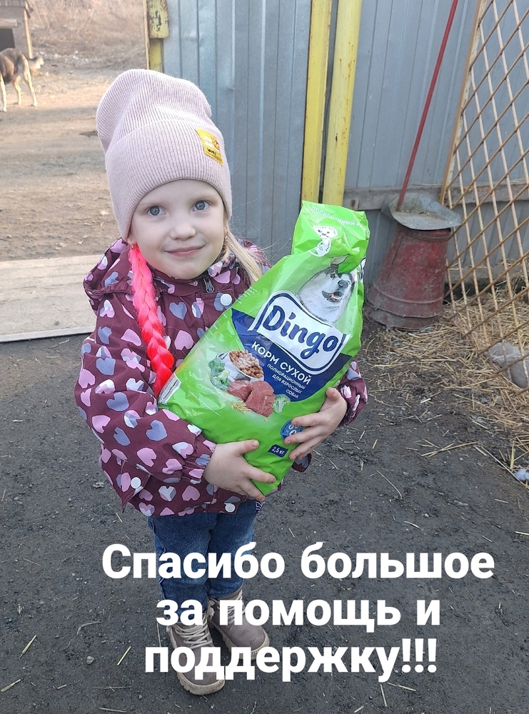 jRX_8KPgac4OdcEROuHjrsFdrbdUh_HtvqujFJj3