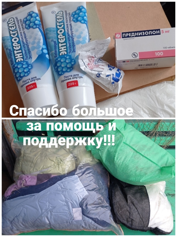 TMEmWzHLgeGJocRmWFWB2GjbGinPrBmeUk4vZTvb