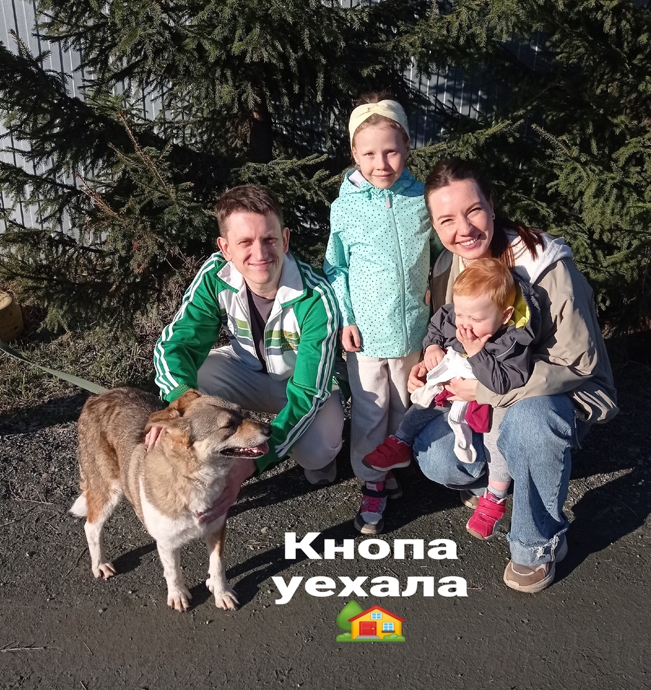 YOjQhd9J-BCnAxoMdQfTnpmaj3Kg7qXu_B7N41L-