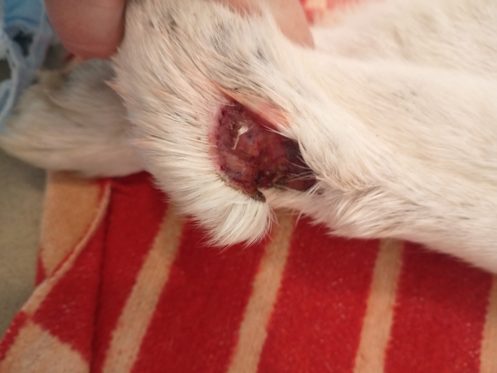 EmJ5h90leY1919WofqA5JdyEXjOFtZ8yq6yK0xPa