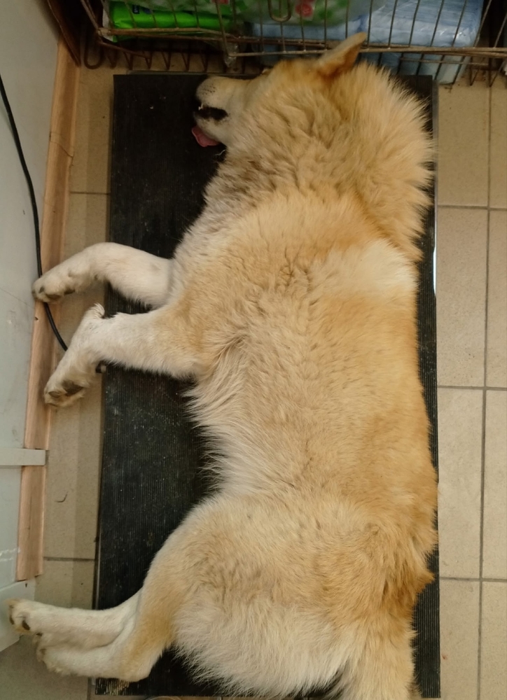 oP48NhzSOImrxcUlfjsYw5h7GEf5yW_gSvj8d1GW