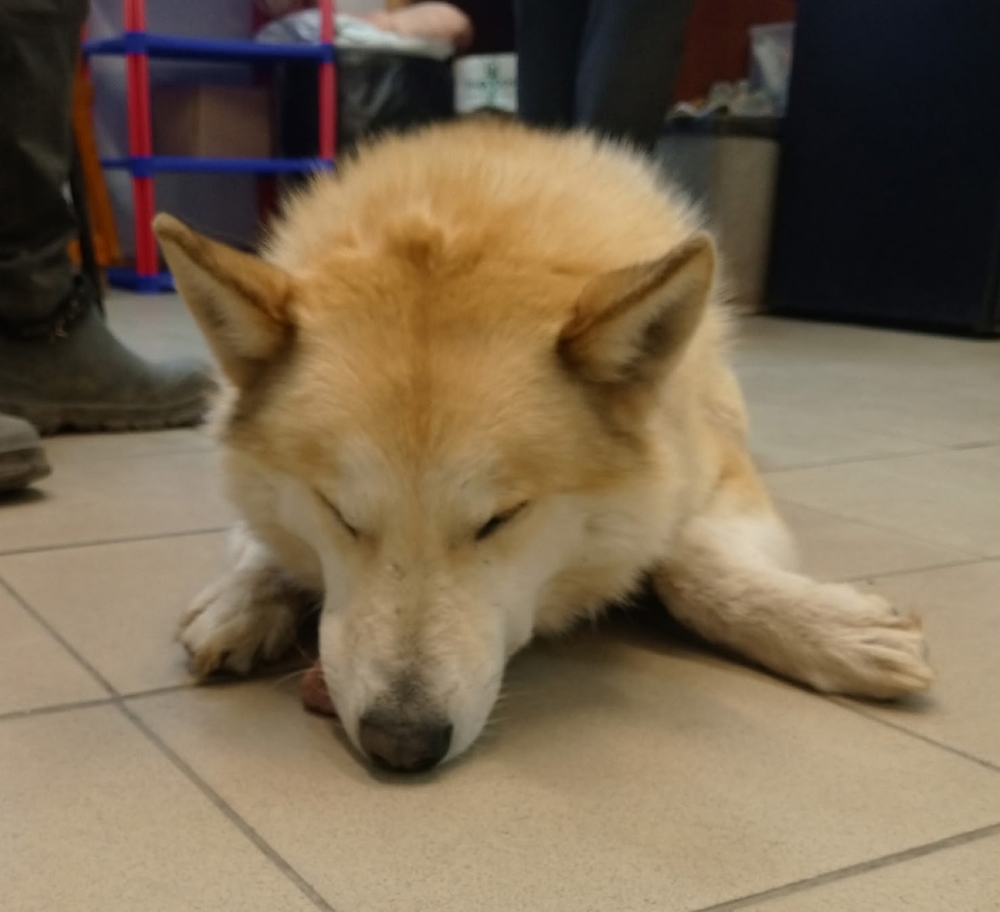 UcmJWvfl4X0pG4haAoKbtY8Q_EwM-5wq_Nxm9aVo