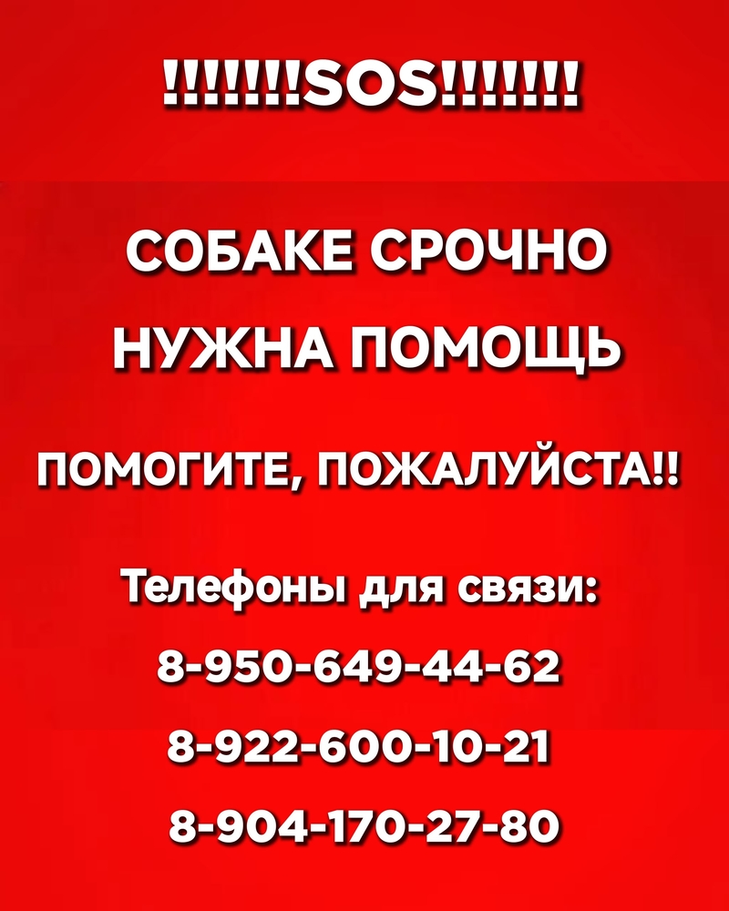 VBv90FSLjIg7CxQOuT0_kc2rTu77aoStHLd-1Sea