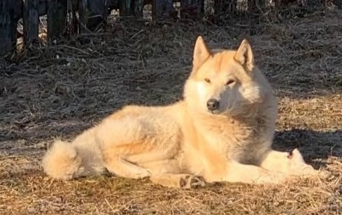 XrMWSDDFHjHbRJrkUqkB-dPR-rlnJzX-zL1bQCuq