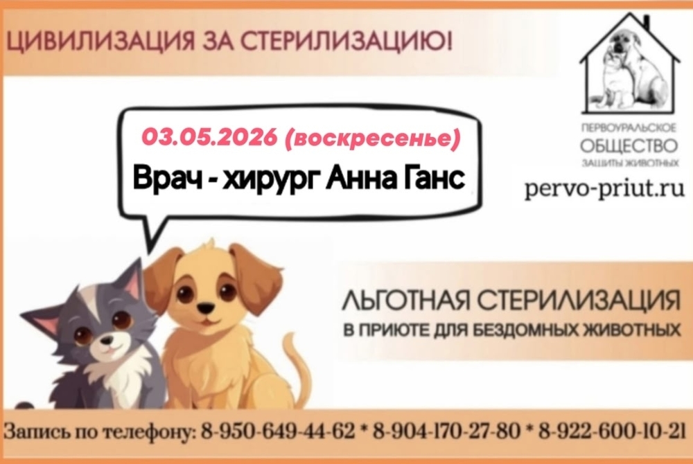 _3RH5TnG_rz-9QOrL_KXxYF6vQFnIme7RG6iQCde