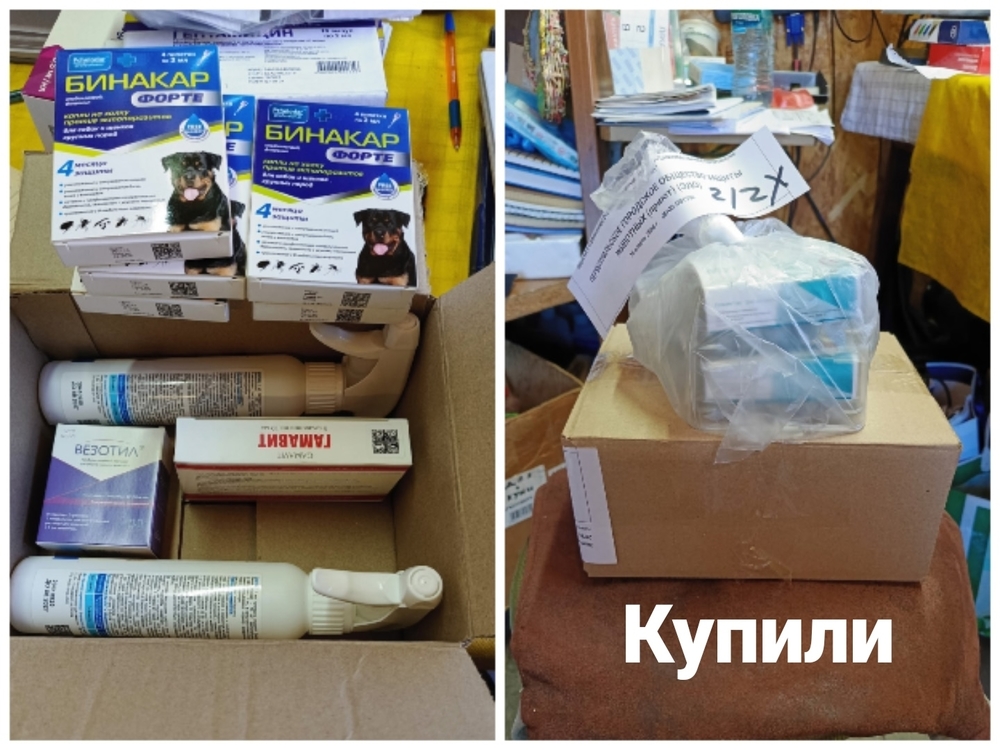 4Dbu9Q-tkze2CY8UHDISD6kF61w-wohshJahsqq2