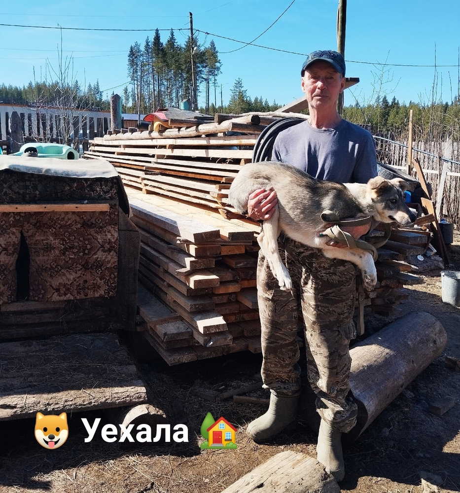 A_MEYlhsq4z7GjcVsqNPsiNpF8xxjMbC1zwfw62H