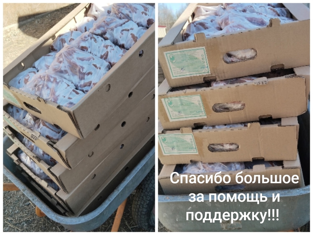 nDwcNa-OW2CBVFbnJCG-fGbOT_Bl9rxFYq_leNLr