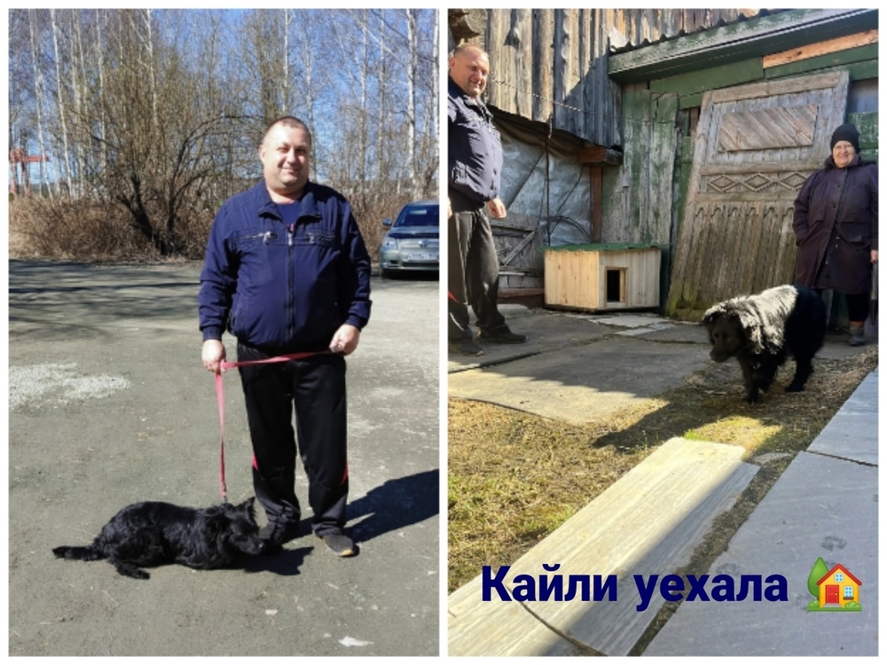 UneK-7H6ww-Maqqq8UmAKlHnZAoFUiTv2_VSHUsX