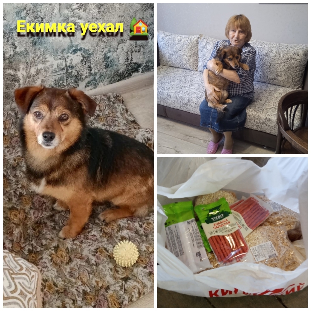 wxOjICSwU_ZToPK6HmoKDhhVZrPbd79Tyqi9NVH-