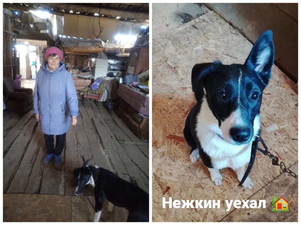 Y7k8KWmkb2jQL6BIIrARLjzwESdQc7boqQ1_8njO