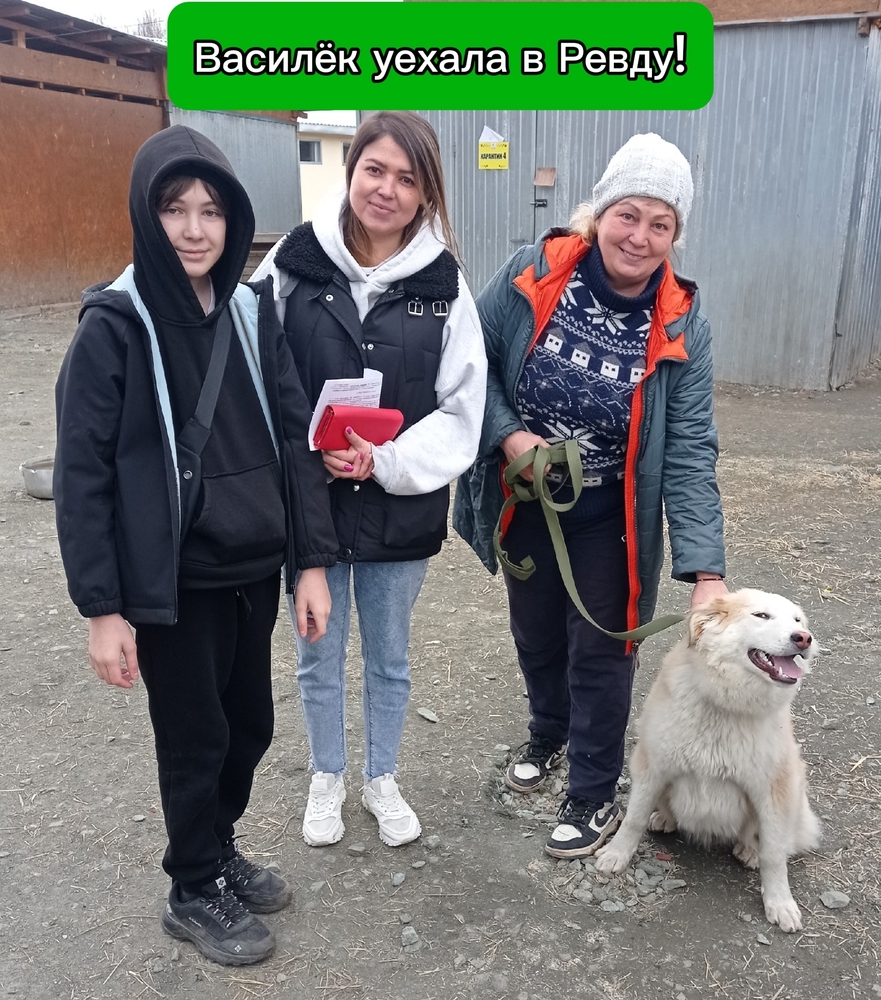 NOIR4m6Lgs19QaqvPX-8Pko-FGExurPYSBVjpQyp