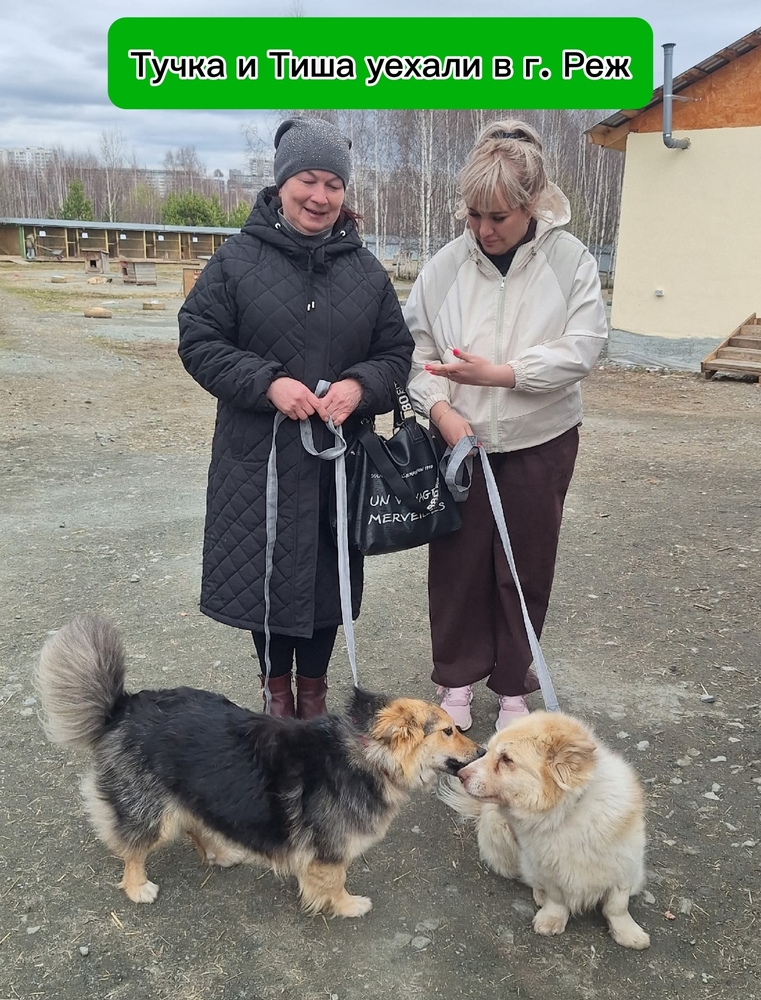 xovwaHSKgTKEqGI7yRXB5sPie2-qgA65FK83ZYvq