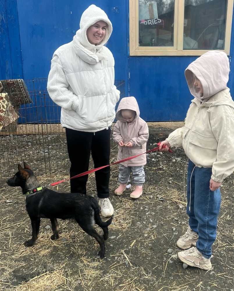 BxzjnoREbEThLn7TVUldDZDose39sAmqrERThlVj