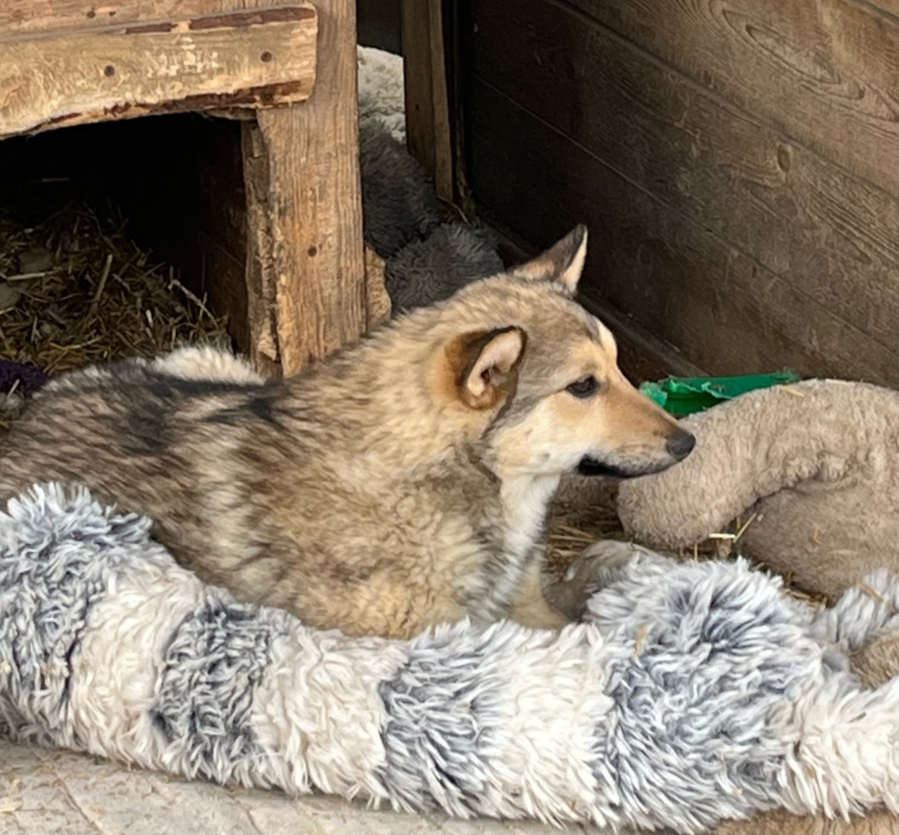 f3bp13V_NbrTd3fLzg98CRwsKUbbWUo6OHPKzlZm