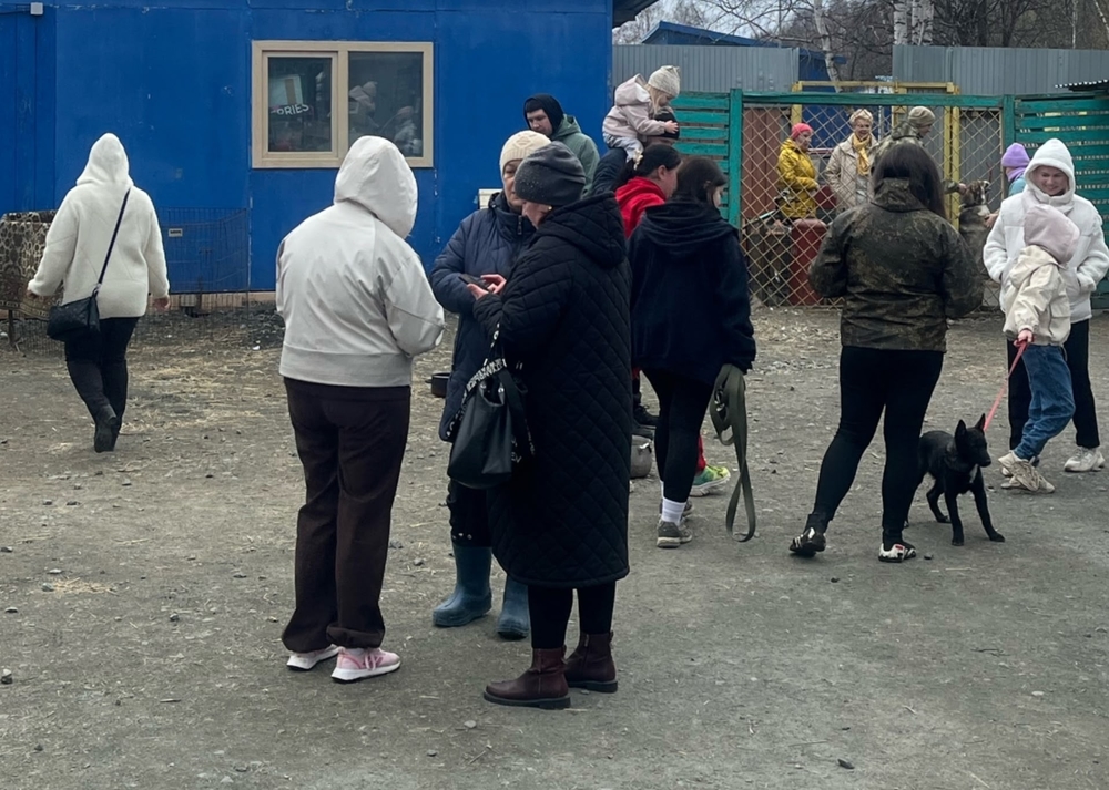 fP9oVu_6GPI_Vqtm5vFZaMZ582PiOLG4ccS3d1kZ