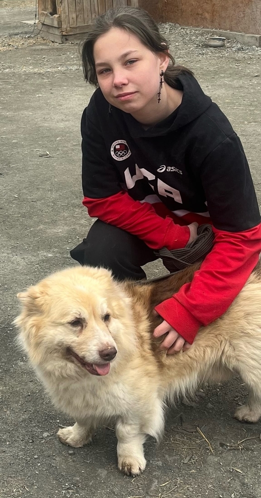 O2dqhQKvn4SJQMIM04gYrjeyrJ7VFsR7sNUtJLZh