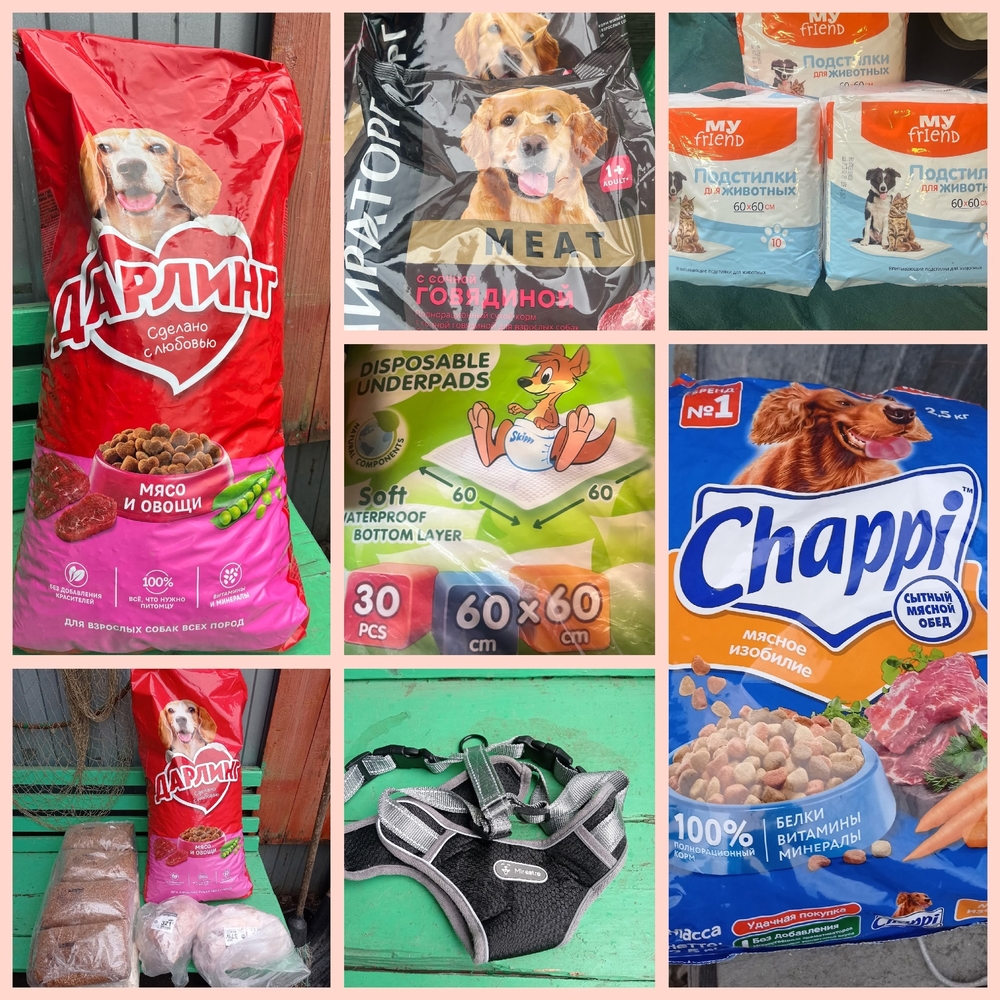 Sczh3I077bs3fa2HwMEszkgdQqju29F4uuYPd9lB