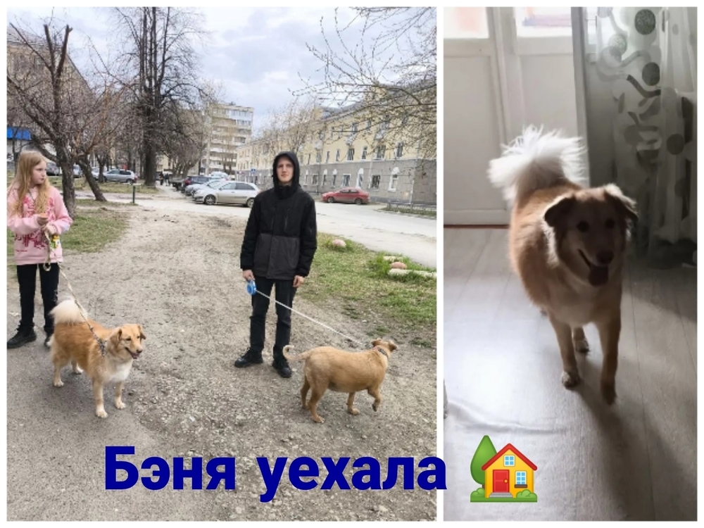 SN2QzHxq-y-Uqd5p2ZJQv65Uz_Dc3EsidB84f3Os