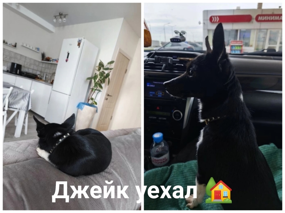 TekZFhfX4Ib_1FWwIieHuHpuPIYUDPDkVBAwKijq