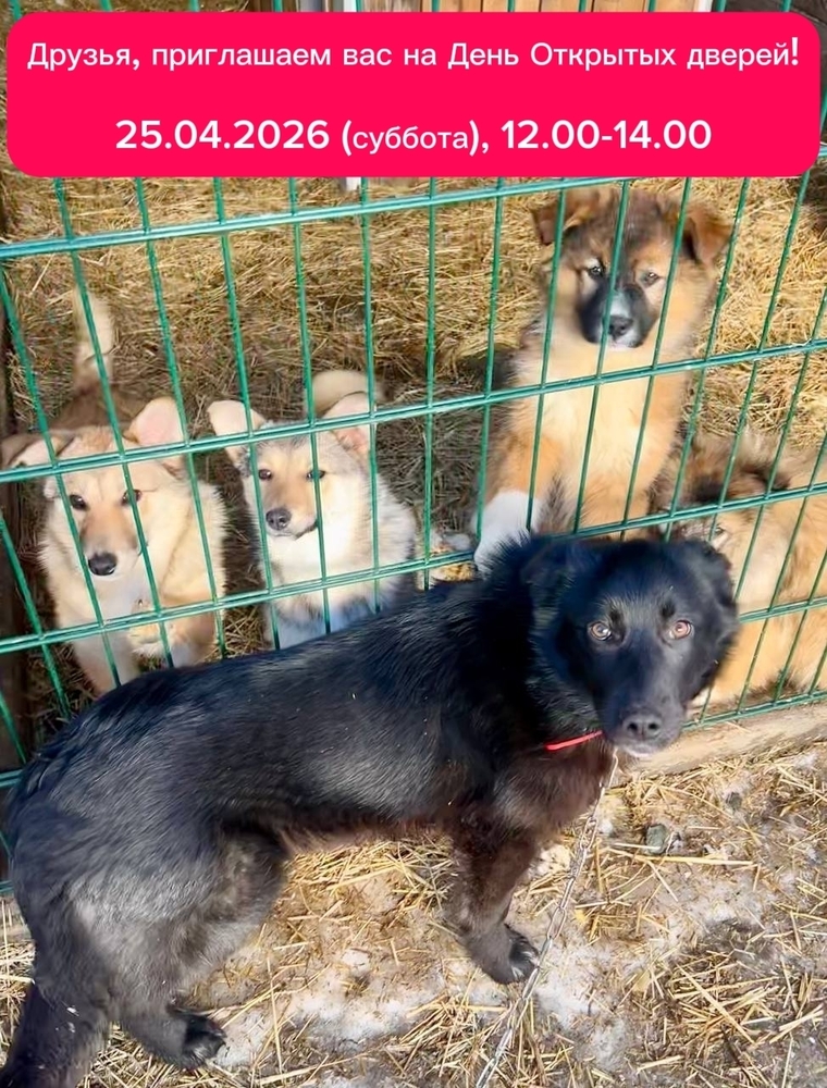 NCi-AbckfKXxjg3w2FrGtc10Z1EACteDI1qE8dhH