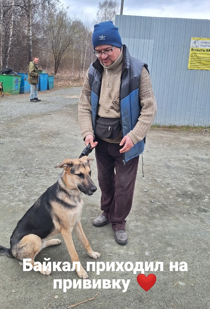 _VFzC7LwOusHpD8DoM1HbrWp-o9AOPb88plLr5YR