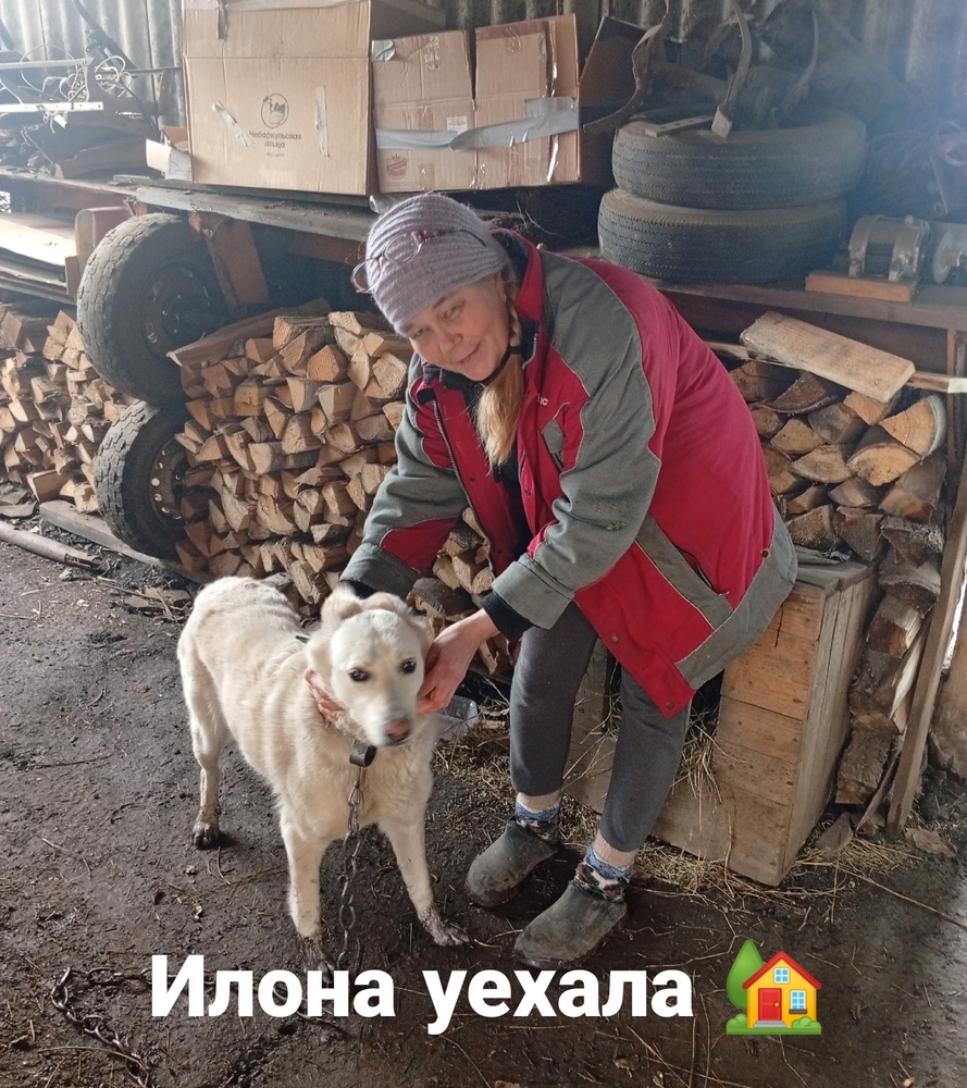 bl9zGwGlWJ4wPdUZP7n6XWQSS8I0nXofa5XG-L1O