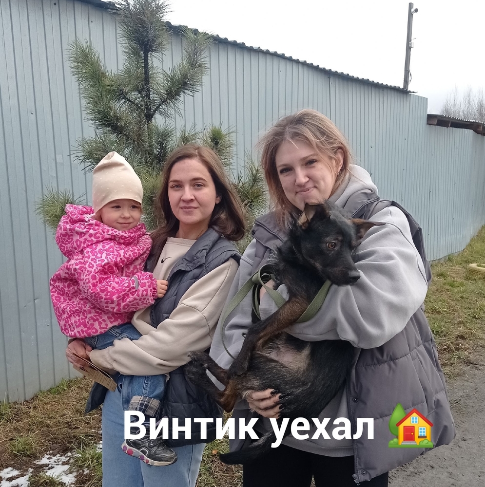 MJOM_ZKjGtCaACZD2ZdhaJL-72x3SZw1Q50n0Cum