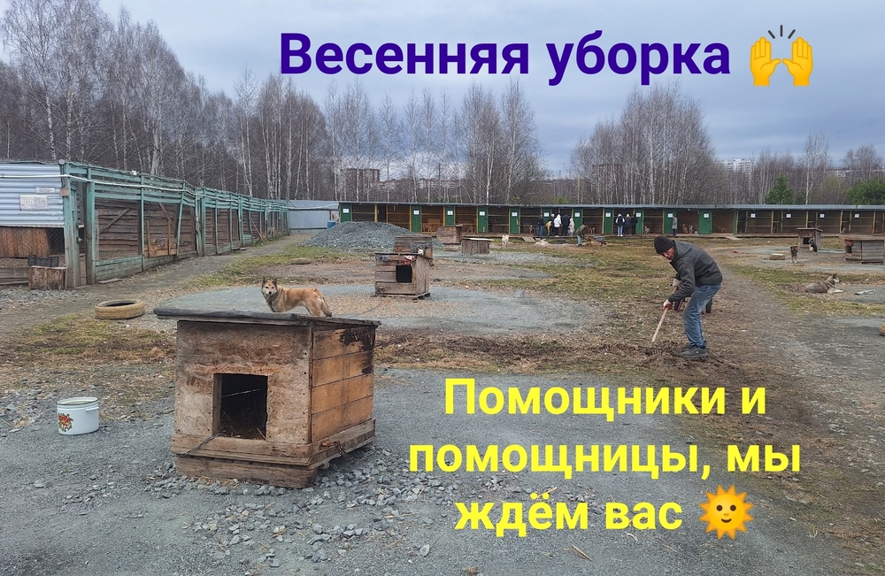 NNnvBtqQeDq69o7561uWITe9OyleJthMournIguf