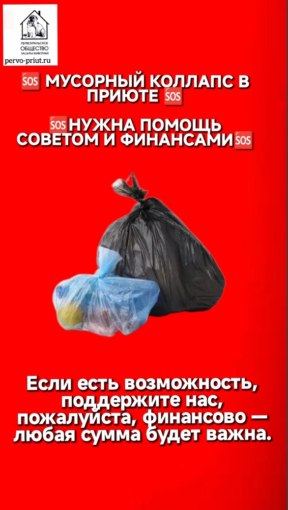 k-Z1hgDkJcU6Q90Ih0wKkEHcmElENlKvlubbRk1_