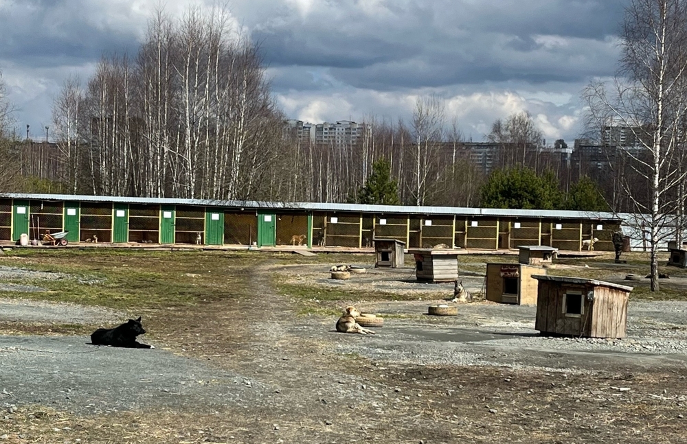 2adUeJlwQNQa3SBRzmg57GKWItoSbcp0Gwir3LFu