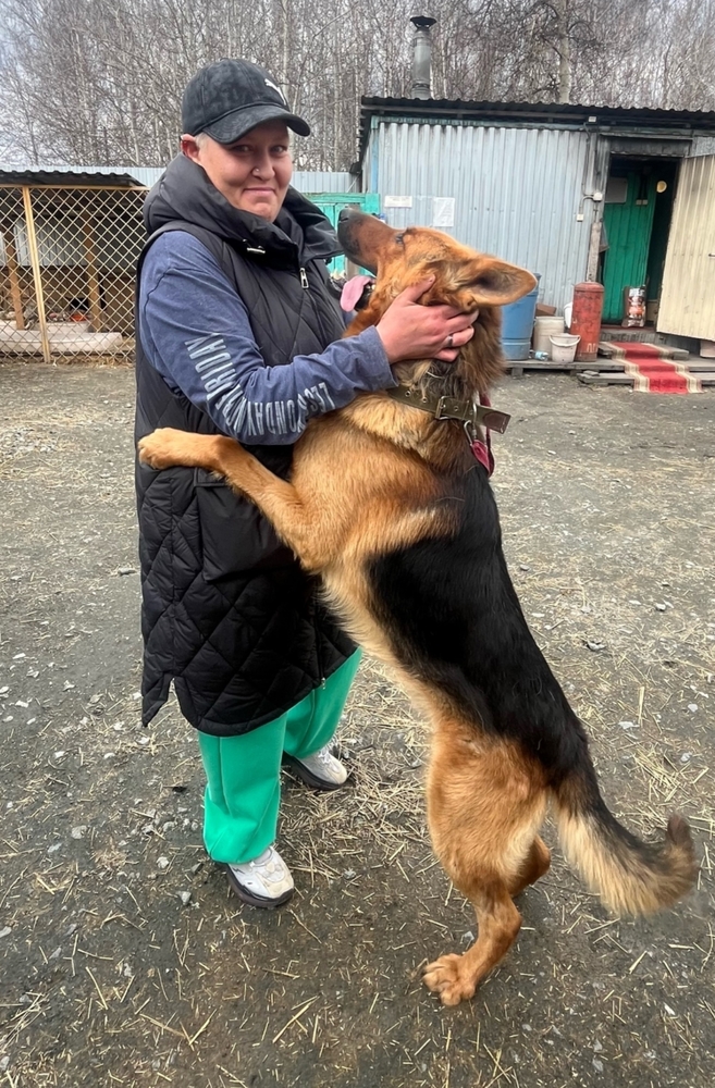 viHU5BEHH22X3LD2gUg5EjLiVXh2MD33KcVmmWHb