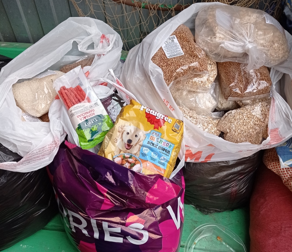 A2SML7POsSTpYFhtCEO3YI6agzQss6d4qnOQP2Vi