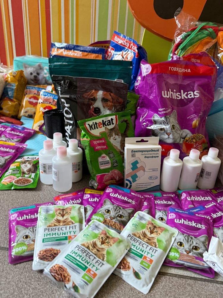 IYh-bTuDCAbP0l_TUfpjZNYtFhAjyFEsqw0oGhB5