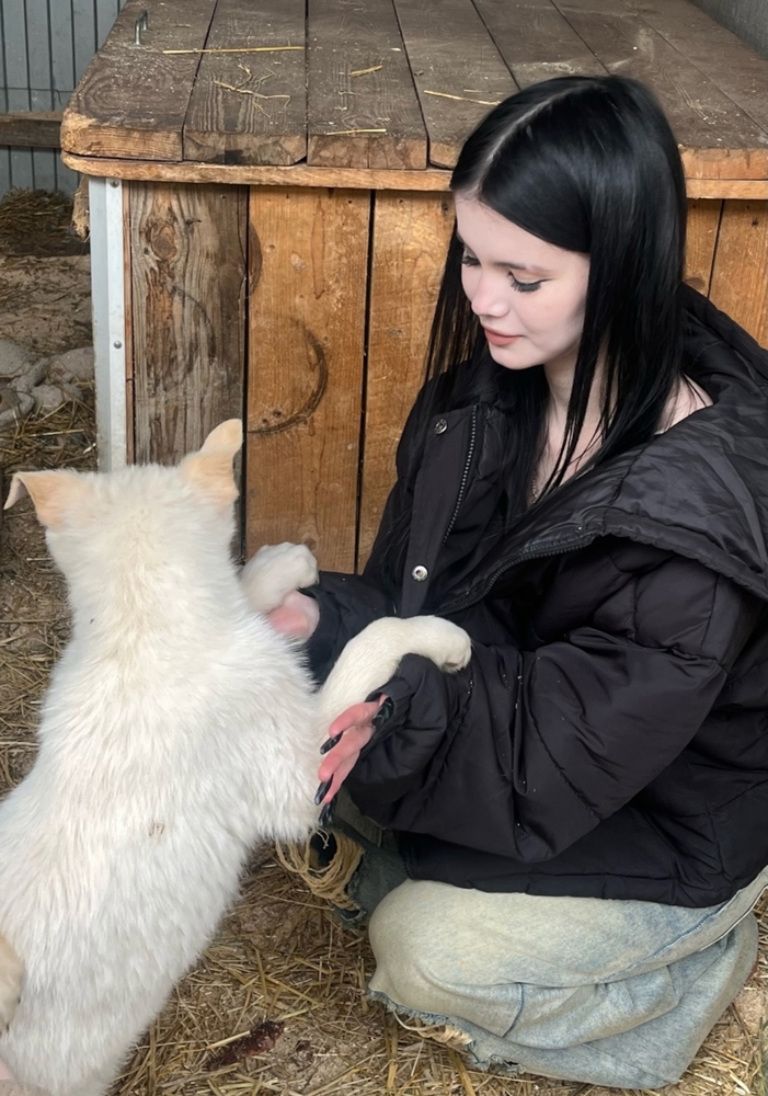 htgXfKVGp9ojSMkrmN1hX_9UzdI_yzoNR40mEAoN