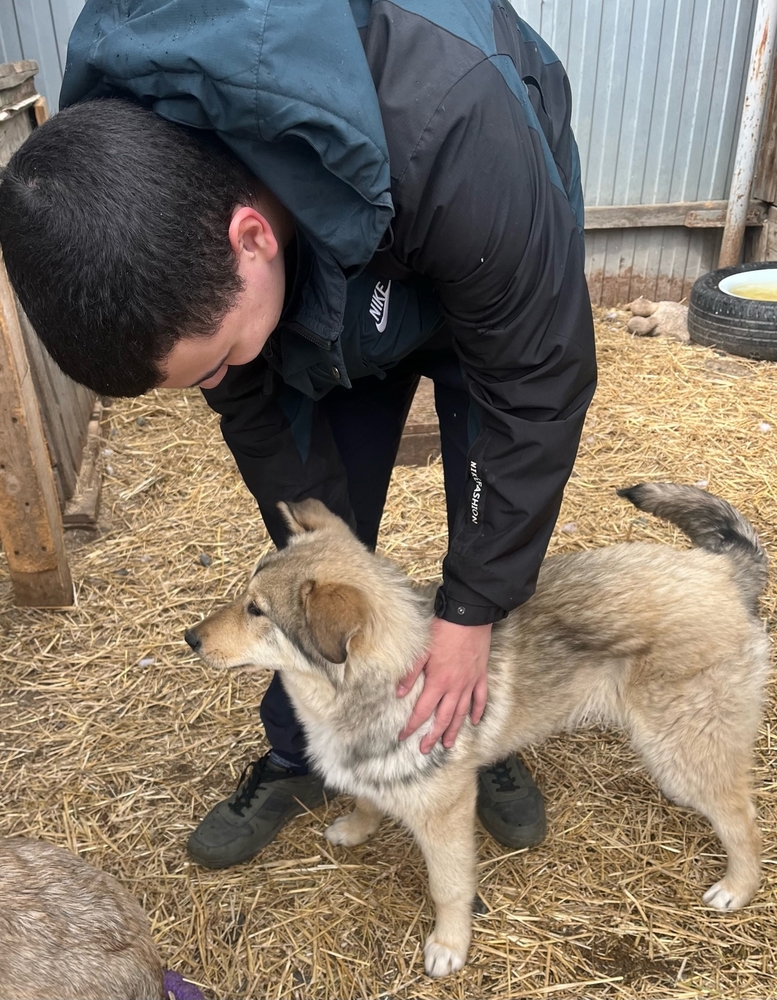 xPWKZobqI1maCmrwHmwWAQiRNAs1qTlcBYSiPCk6