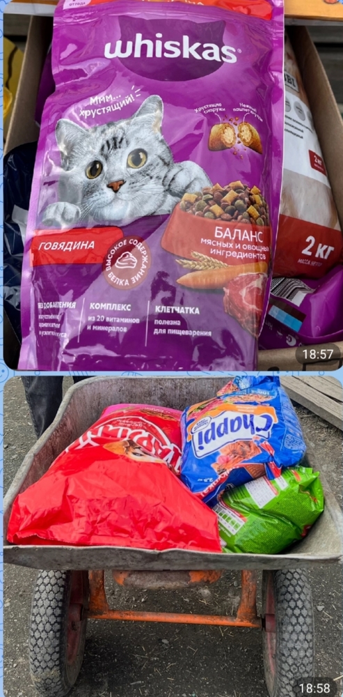 zm1vrXYKnFjpacCjJ8C2VccTCtSjnMzTkqaIt7hI