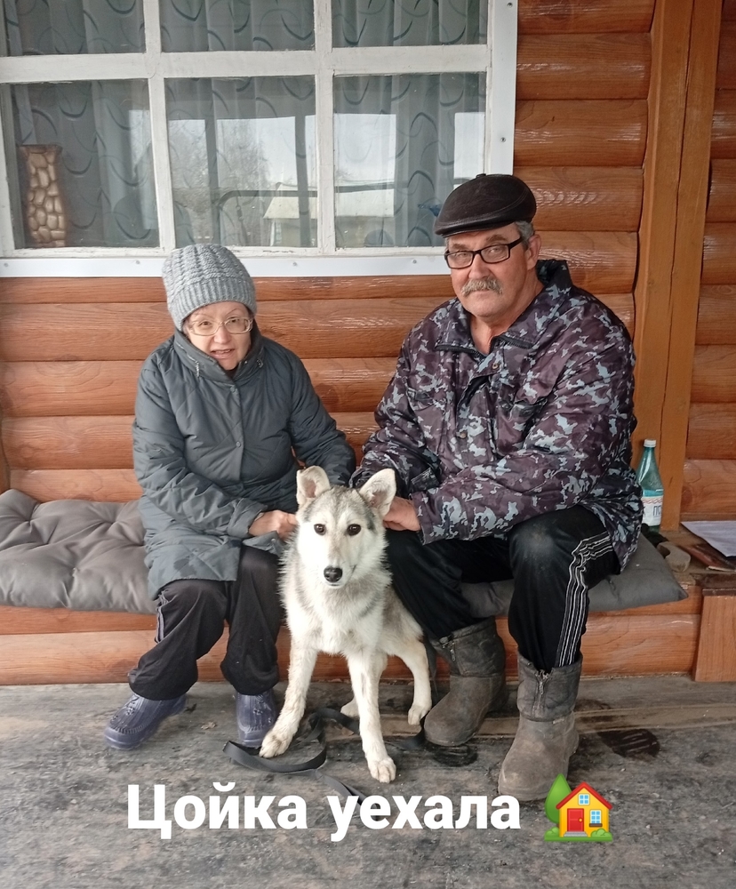 FXm2rXmqnxDWfyIveCieiEkCHyYv45ocBig3EaZr