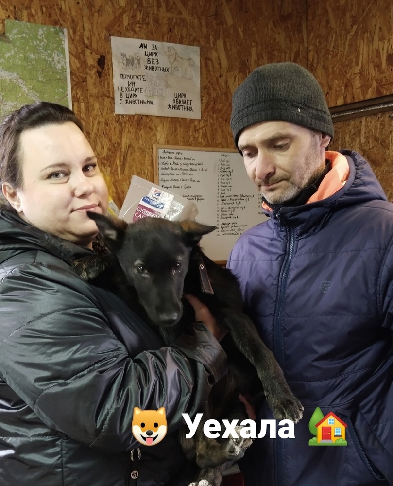 LcUMOYf4v3dyLTFwIsKNvc1MjYrVXLU0Hus8GxbE