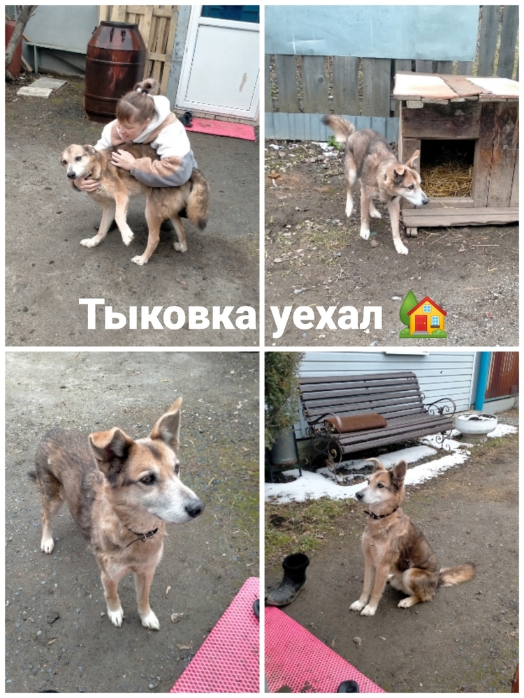 MS80H6BzW4zFfwpoVXiuZs0OJZIJu0g7pmCP8SAK