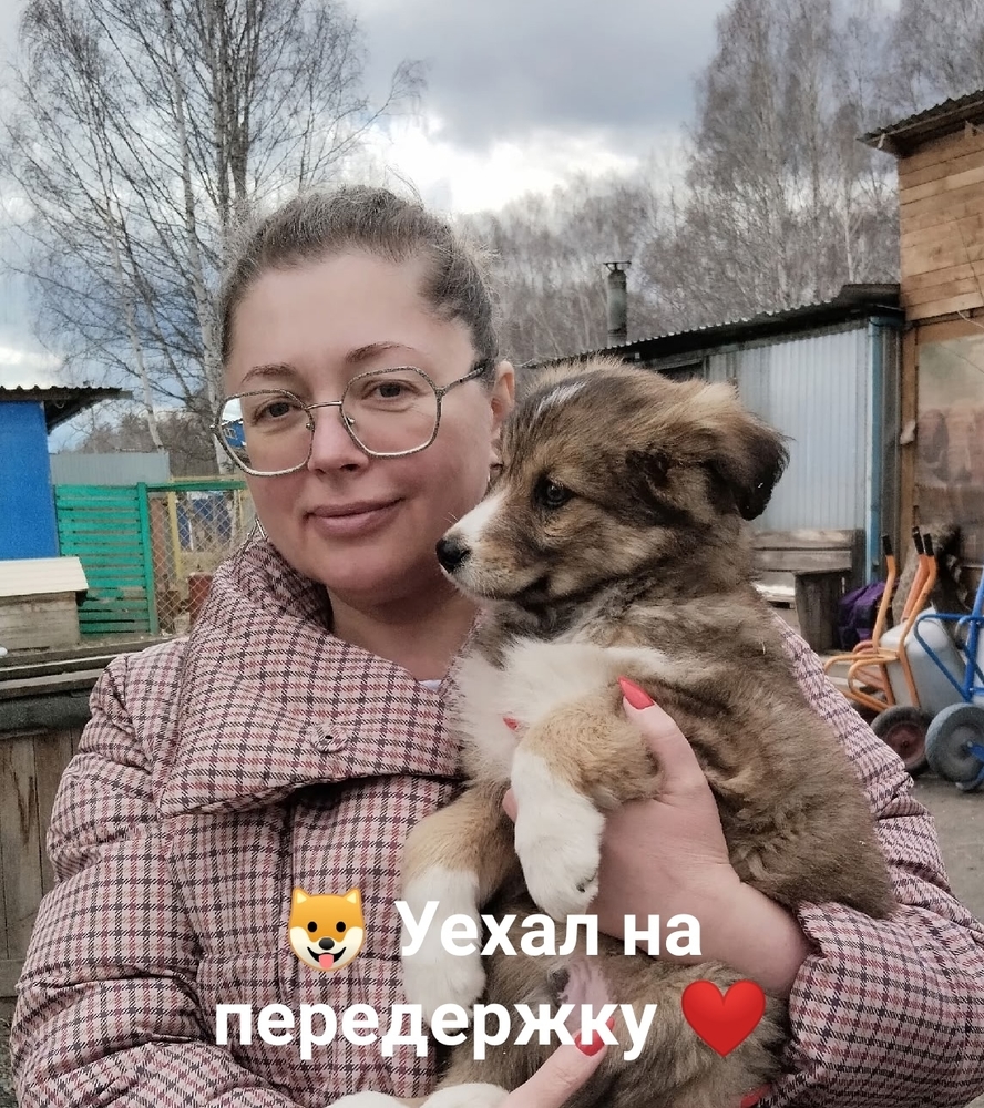 NrqF838hm_J2o4LOlHk4a5mJGYwiNBKsD9z8lgun