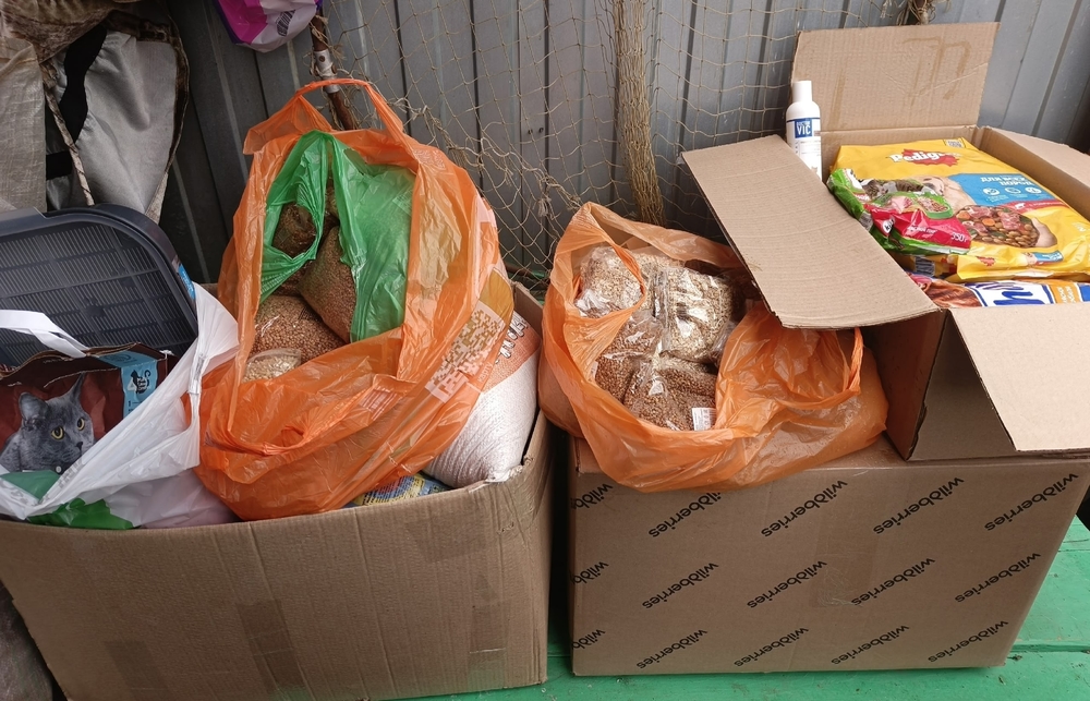 lv9dfs0iyTLnplZnCGeXKrlOJDx4UzIQWbX0U31t