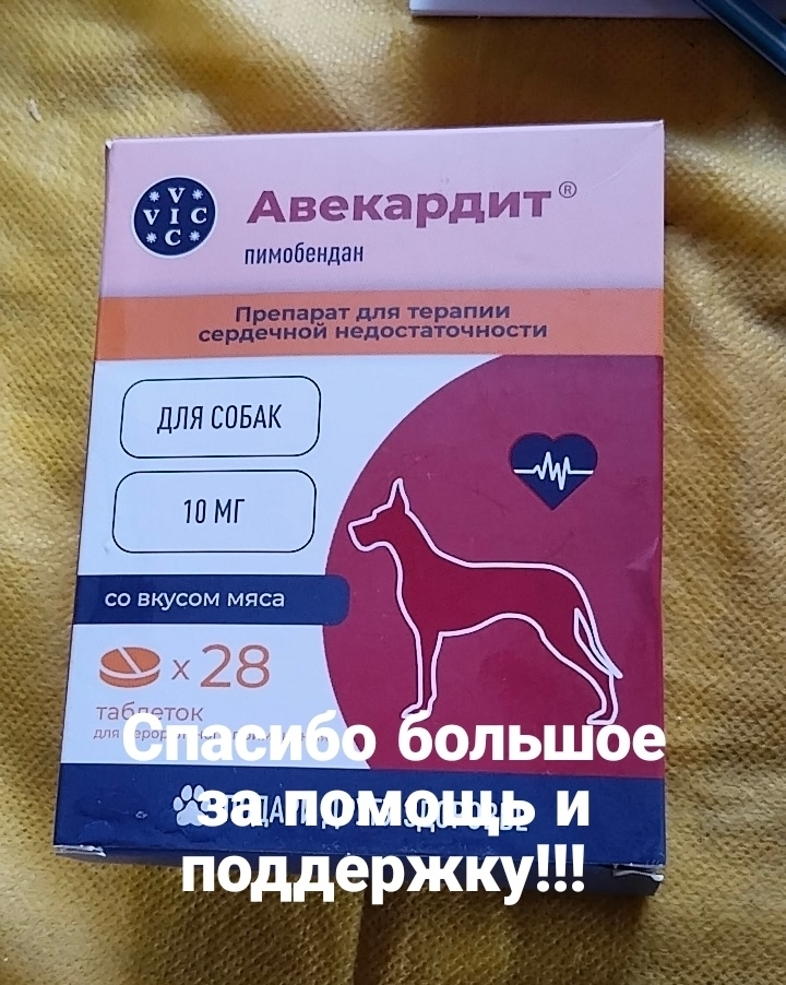 1wOi8cHy9Na3cRAj4_qGoJ60uGPE6As6JWD7v_IH