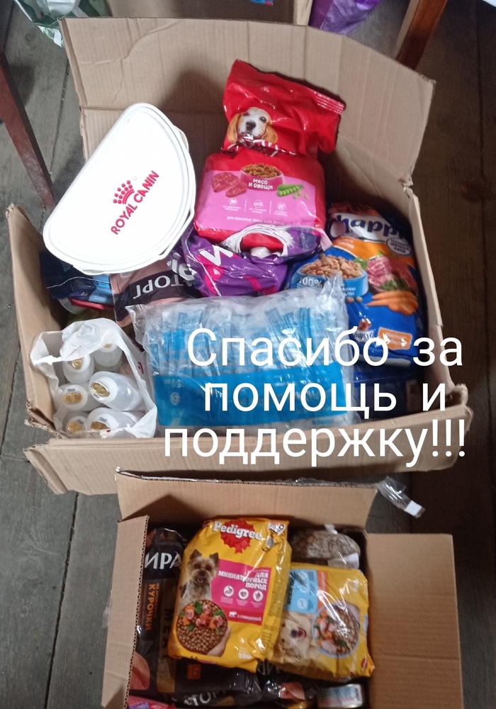 c2doDaSI_YAyJHN5Z7vP-5IrAFG0QjHW3zEKZiKY