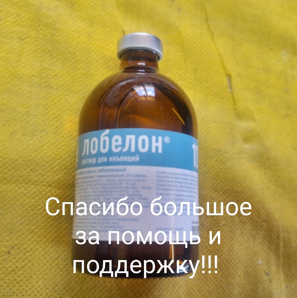 LKMWZ0BKfQli2zHYHh22prRcEW5U_Hmlnu2SR04K