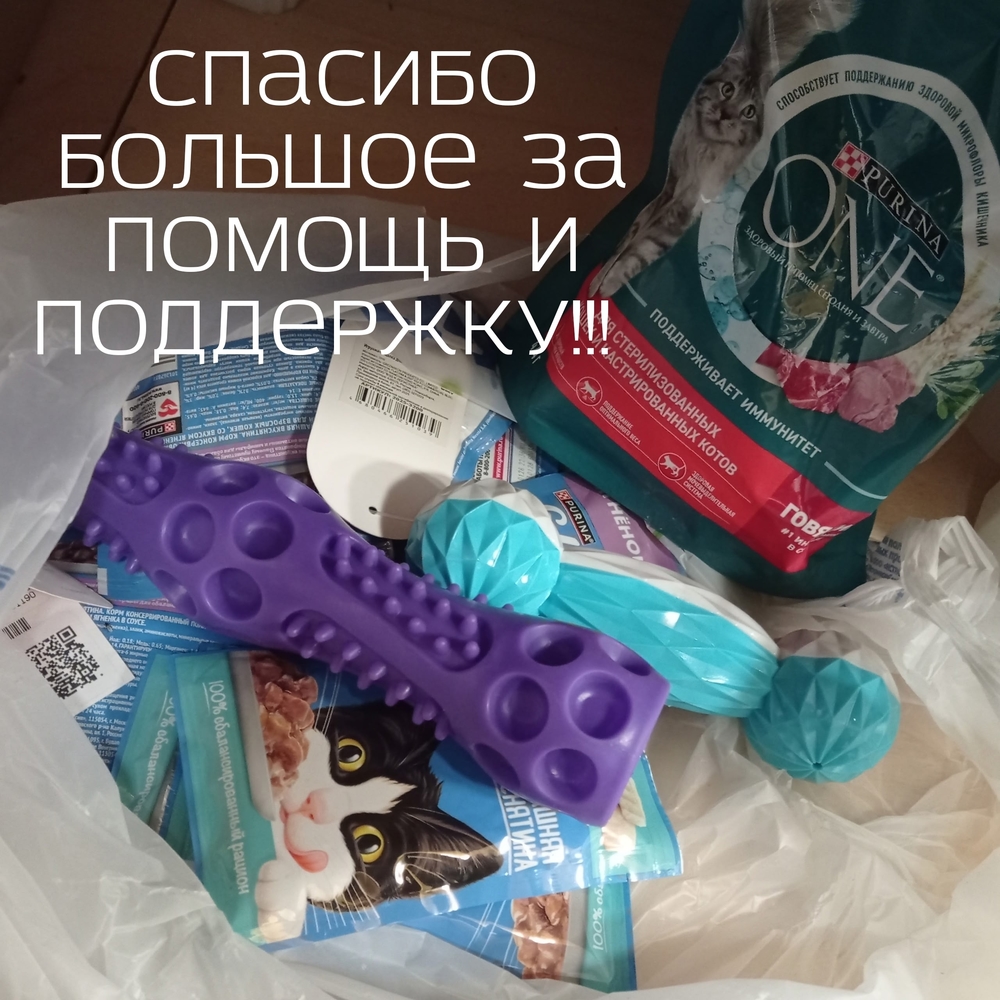 IfAFO4qRMBj2zOZiBn6g01k4dbimwTYfmWkKnQUq
