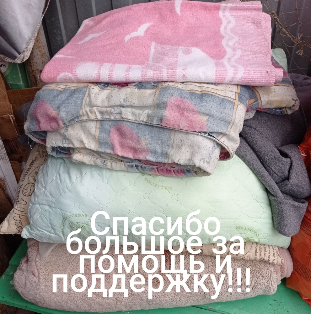 mt3TTIivoBuWZPhK2LCihOgfT0A9bT1yNnIEPx6O