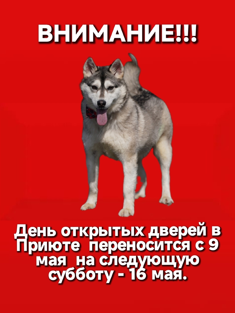 S8qul5DvsormhnjNukSqku_xnbcHh4G_8no7A0pM